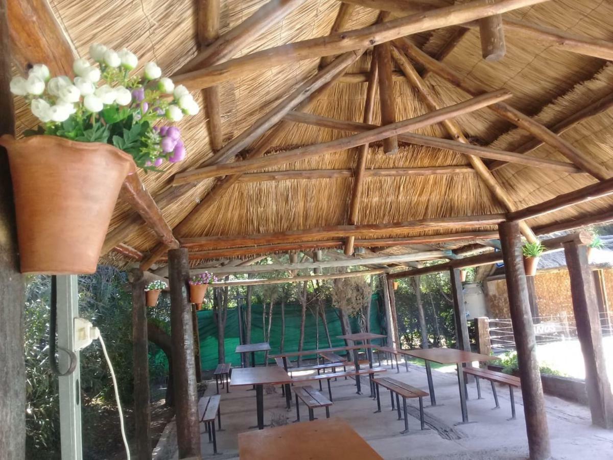 Cabanas Alto Bermejo Vila Mendoza Exterior foto